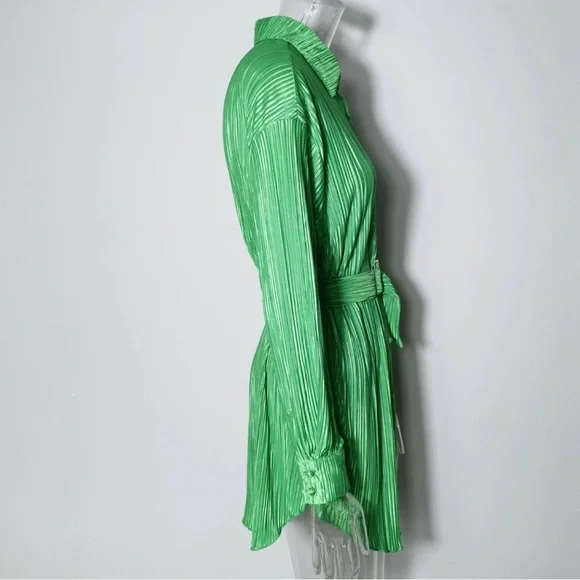 Green Pleated Button Front Dress - Picture 5 of 6